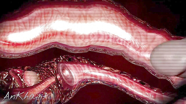 Viola-3D