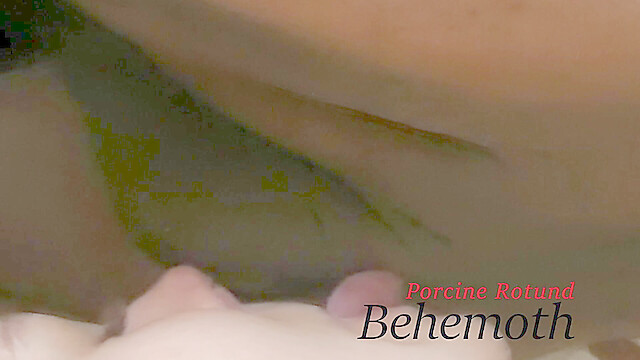 PorcineBehemoth
