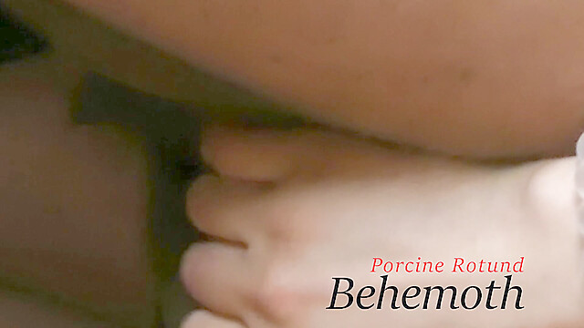 PorcineBehemoth