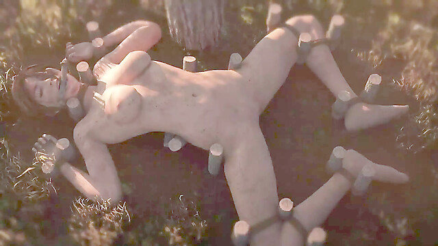 Viola-3D