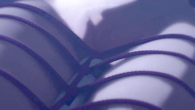 Viola-3D