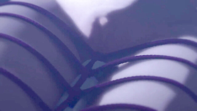 Viola-3D