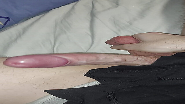 bsshsb