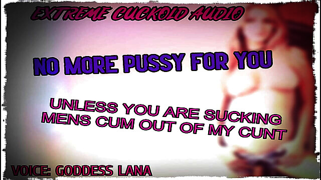 campsissyboi