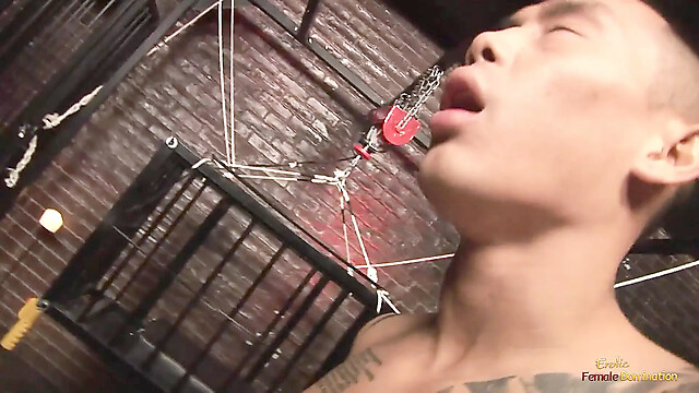 eroticfemaledominati