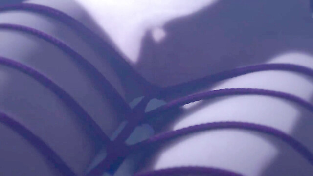 Viola-3D