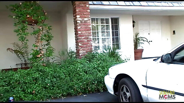 eroticfemaledominati