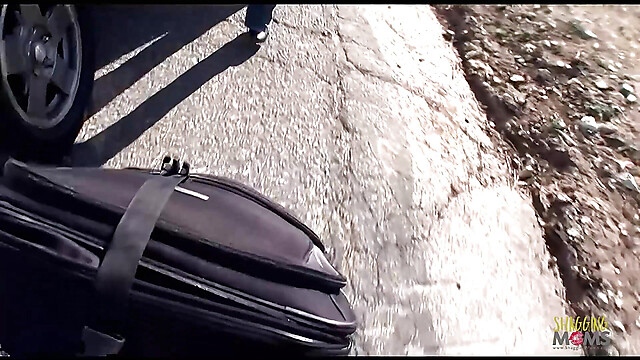 eroticfemaledominati