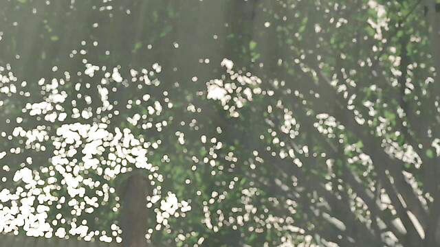 Viola-3D