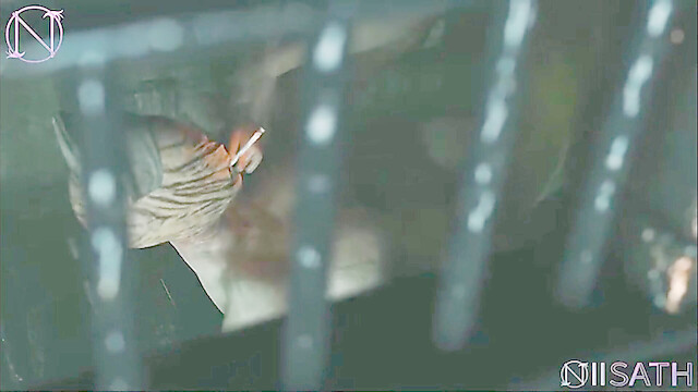 The_Industrialist