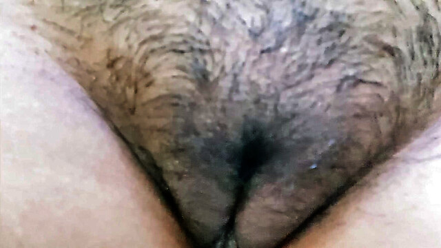 IRA_Begnning