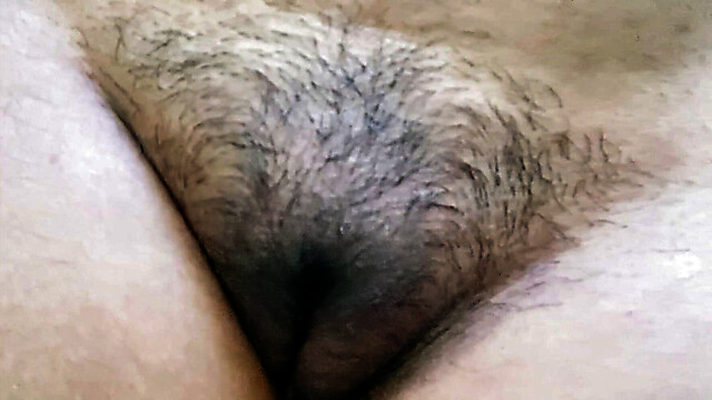 IRA_Begnning