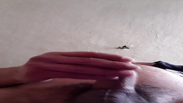 Chubbynhorny