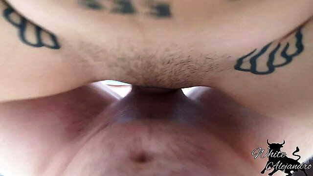 WhiteAlejandro