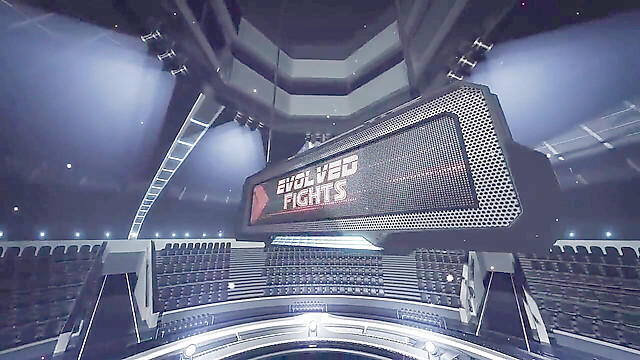 EvolvedFights