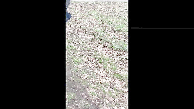 Sklavenhurekreisklev