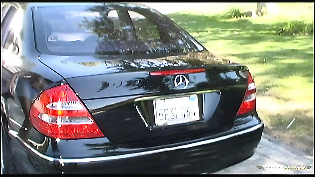 eroticfemaledominati