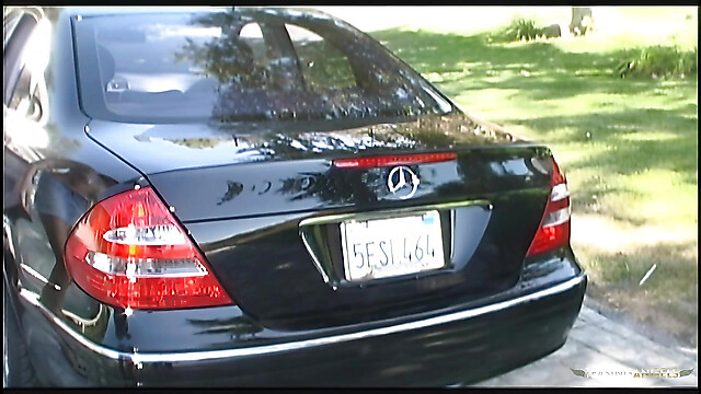 eroticfemaledominati