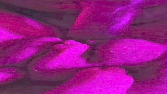 Devils_Ivy