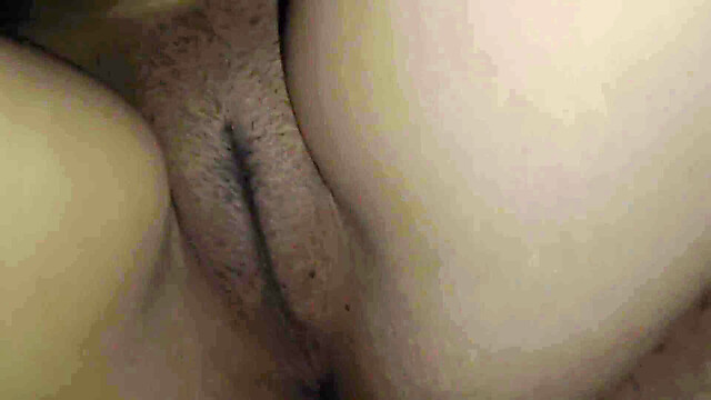charmot-xx