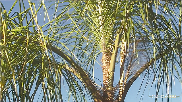 eroticfemaledominati