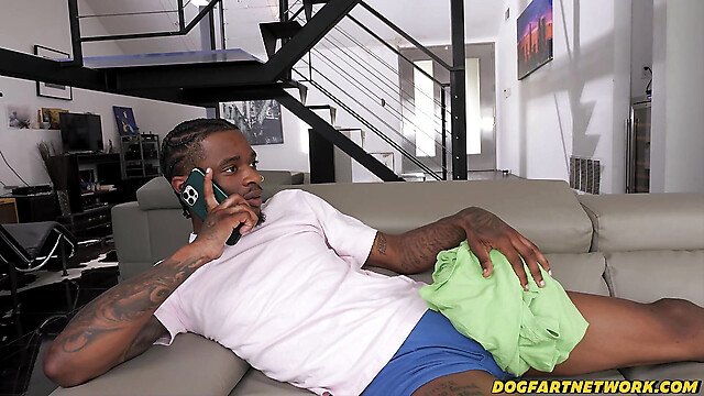 DogfartNetwork