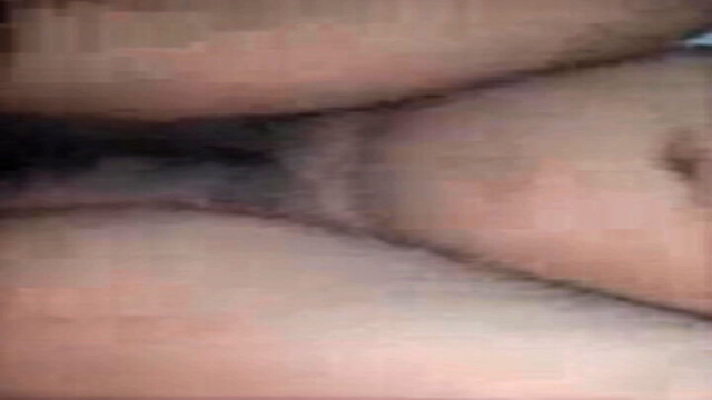 JHamster2007