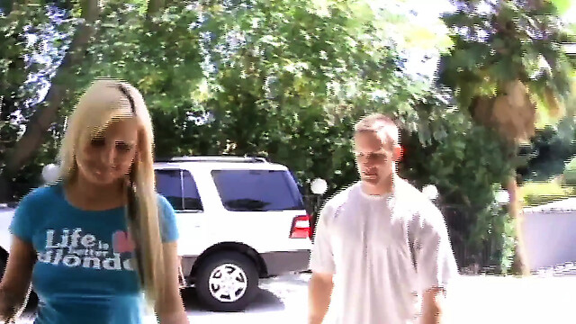 blackcat-productions