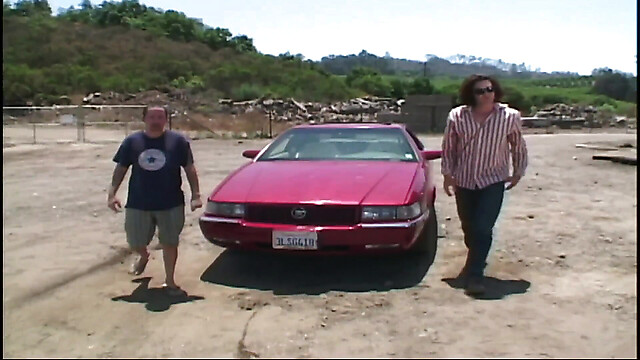 blackcat-productions