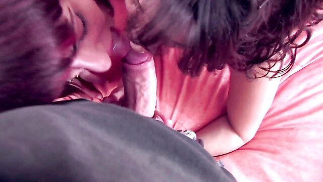 blackcat-productions