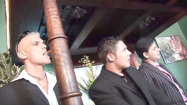 blackcat-productions