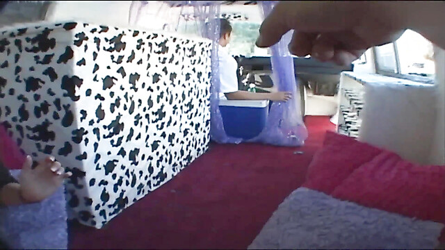 blackcat-productions