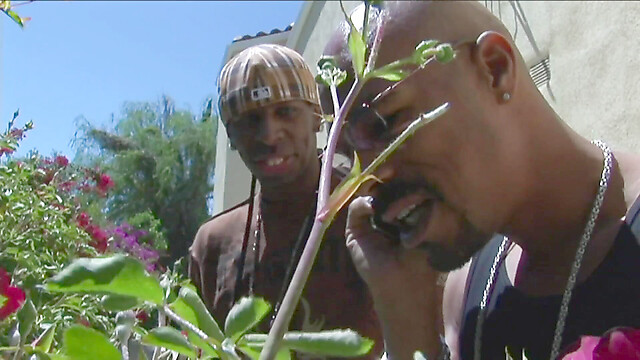 blackcat-productions