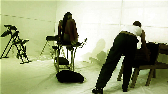 blackcat-productions