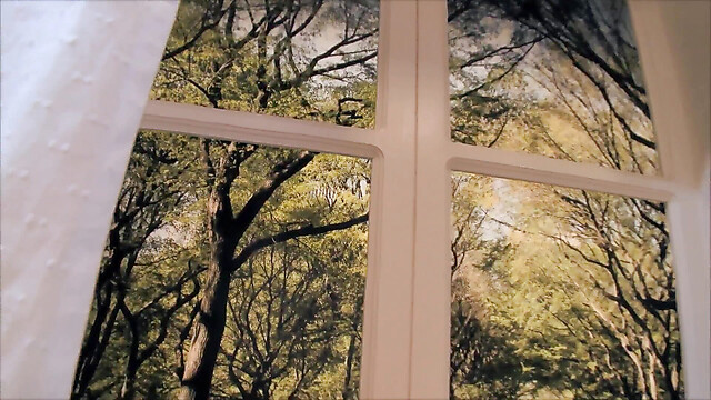 blackcat-productions