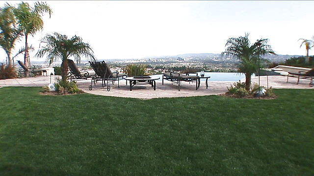 blackcat-productions