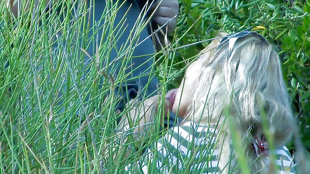 blackcat-productions