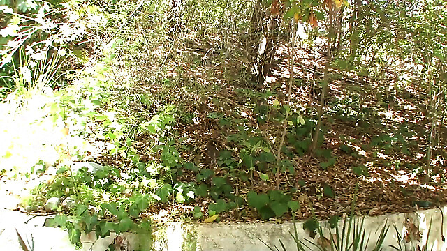 blackcat-productions