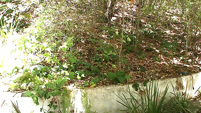 blackcat-productions