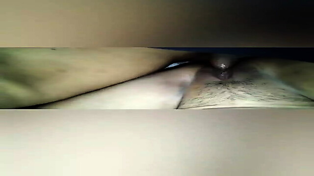 Desiseema01