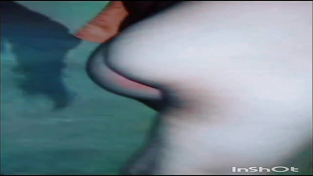 TricolorMusic3