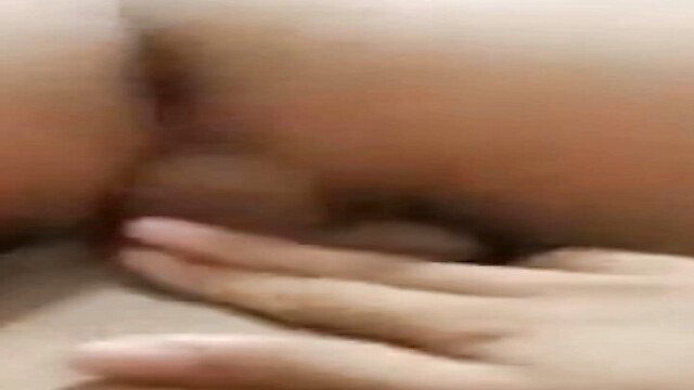JHamster2007