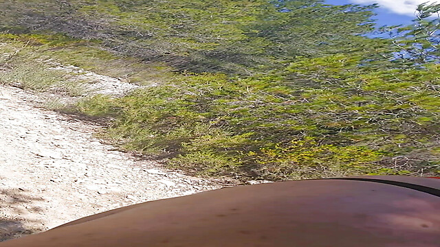 fia_74