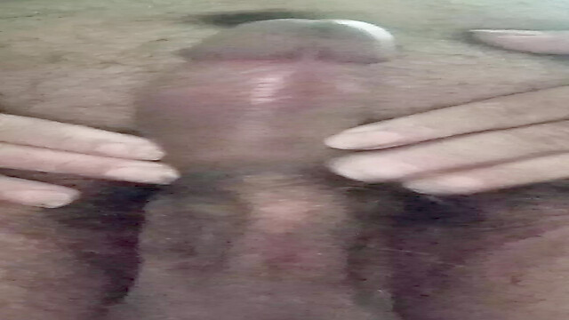 Penis16cmCircunferen