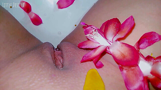 littledessert