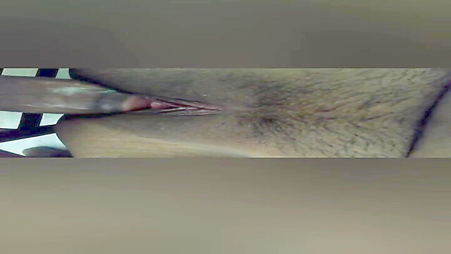 Desiseema01