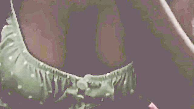 HotXWife