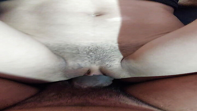 Elvis_Willy