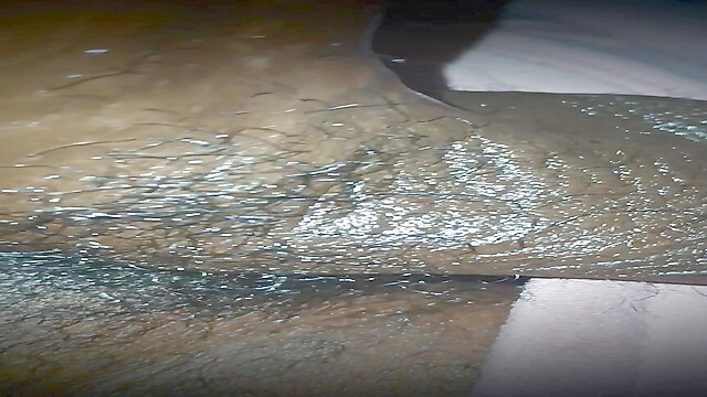 chocolatemeatstick25