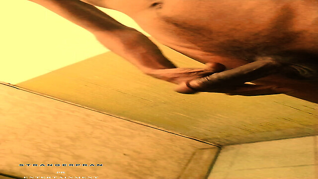 strangerpran